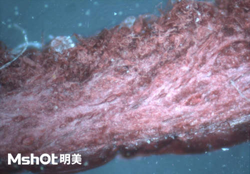 皮革質(zhì)量和真假鑒定，要用什么顯微鏡？