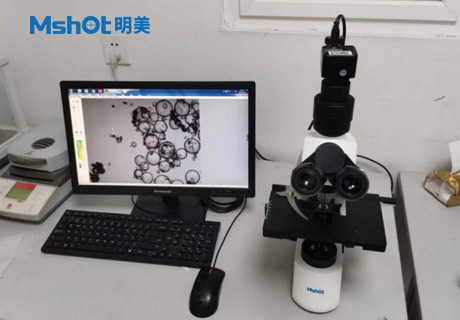 石墨烯用什么顯微鏡觀察？