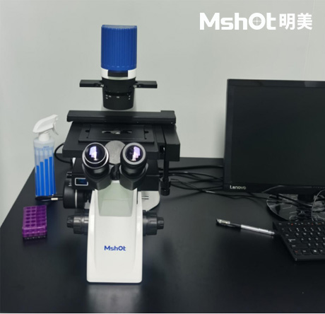 斑馬魚化妝品方向可以用什么顯微鏡觀察呢？