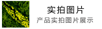 փԣ퓵Yd