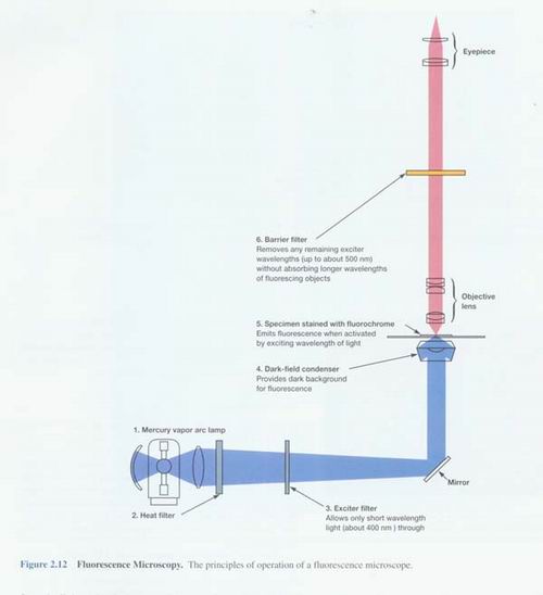 �ɹ��@΢�R|�@΢�R�z���^|�@΢�R�ӿڽY���D