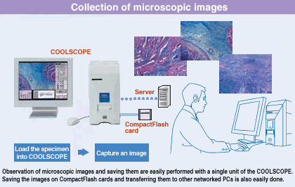 �ɹ��@΢�R|�@΢�R�z���^|�@΢�R�ӿڽY(ji��)��(g��u)�D