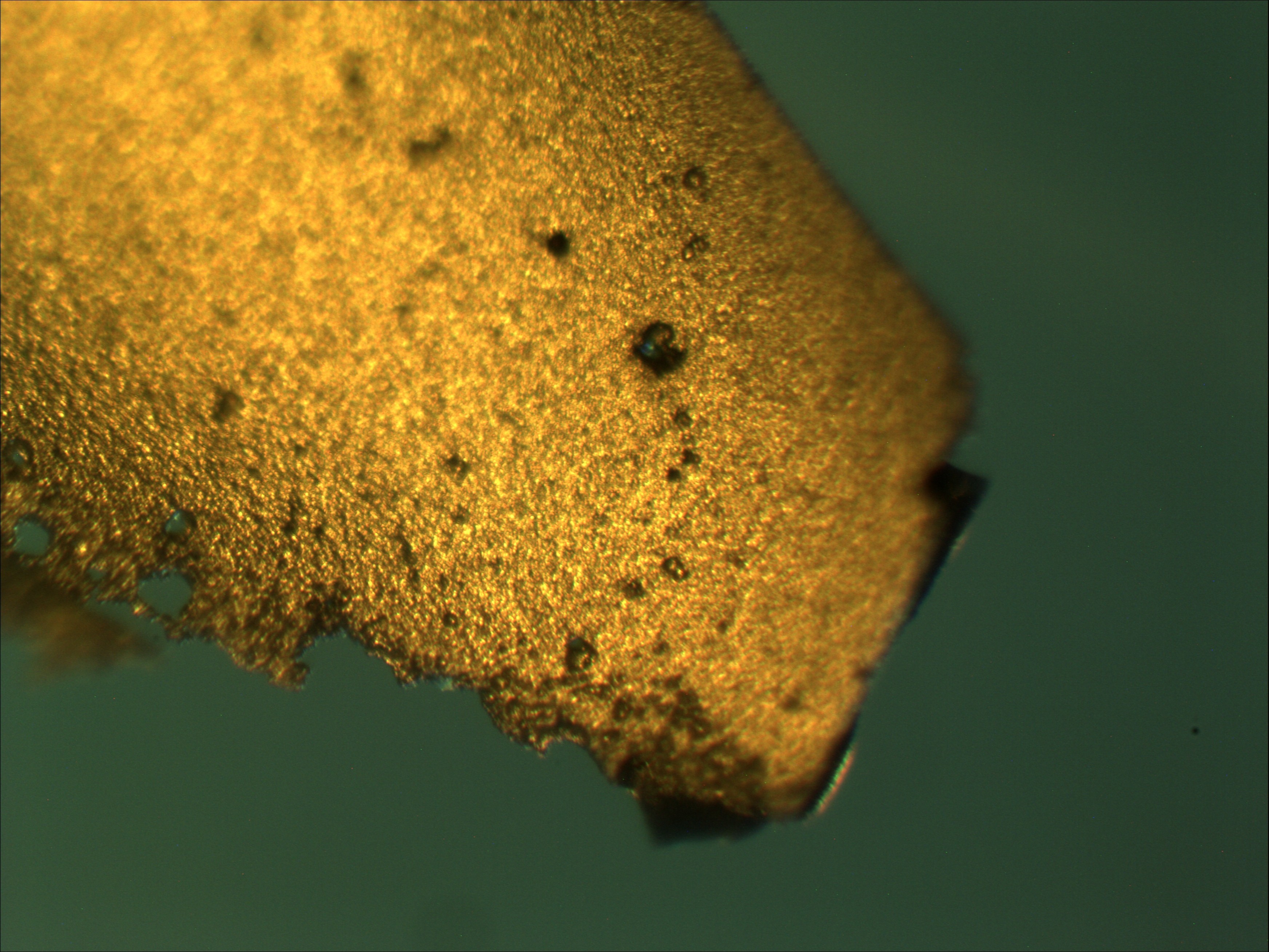 明美顯微鏡相機(jī)在金相暗場(chǎng)檢測(cè)石墨材料